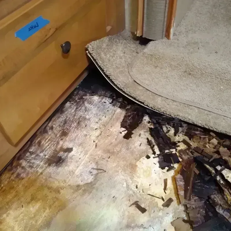 Wood Floor Water Damage in Black River Falls, WI